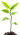 /_next/static/media/tree-small-home.ffb7c79a.png